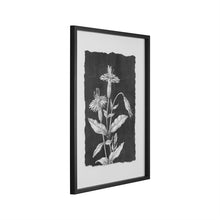 Load image into Gallery viewer, Grayscale Botanical Art, multiple styles
