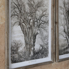 Load image into Gallery viewer, British Framed Botanical Tree Art, multiple styles
