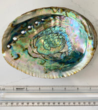 Load image into Gallery viewer, Large Abalone Shell/Dish
