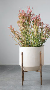 Embossed Planter/Container w/ Stand, multiple styles