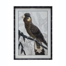 Load image into Gallery viewer, Yellow-Tailed Cockatoo Art
