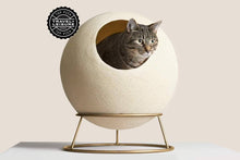 Load image into Gallery viewer, Designer Pet Globe

