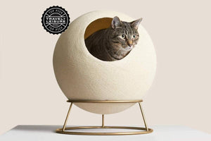 Designer Pet Globe