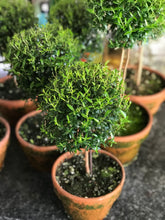 Load image into Gallery viewer, Mossy-Potted Topiary, multiple styles

