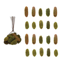 Load image into Gallery viewer, Real Mossy Pinecones, Set of 20
